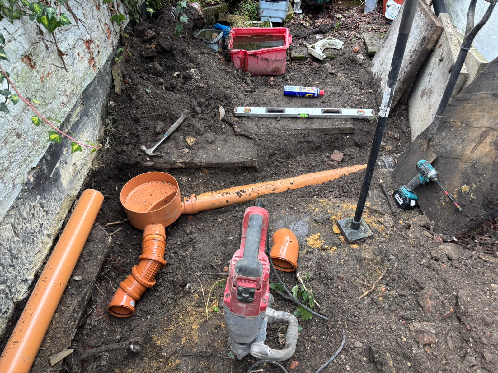 WhatsApp Image 2025 02 03 at 21.20.18